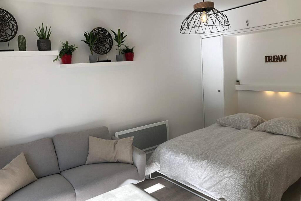 Grand Studio Cabine 30 M² Centre Ville, Refait A Neuf Pour Vous ! Climatise ลา กร็องเดอ-ม็อต ภายนอก รูปภาพ